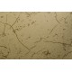Cover Styl' - P1 Zebra Hammered Gold Self Adhesive Sticker, Vinyl Window Wall Door Furniture Covering