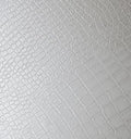 Cover Styl' - X11 Off White Crocodile Skin Leather Self Adhesive Sticker, Vinyl Window Wall Door Furniture Covering