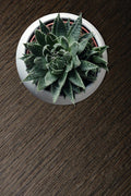 Cover Styl' - Y4 Dark Aged Wood Self Adhesive Sticker, Vinyl Window Wall Door Furniture Covering