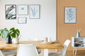 Cover Styl' - B4 Pio Light Oak Wood Self Adhesive Sticker, Vinyl Window Wall Door Furniture Covering
