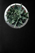 Cover Styl' - X4 Black Leather Self Adhesive Sticker, Vinyl Window Wall Door Furniture Covering