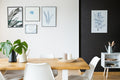 Cover Styl' - X51 Black Snake Skin Leather Self Adhesive Sticker, Vinyl Window Wall Door Furniture Covering