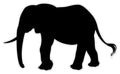 BB14 - Bespoke elephant chalkboard sticker, beautiful blackboard vinyl cut sticker, self adhesive easy install 