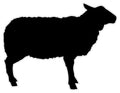 BB21 - Bespoke sheep chalkboard sticker, beautiful blackboard vinyl cut sticker, self adhesive easy install