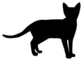 BB22 - Bespoke cat chalkboard sticker, beautiful blackboard vinyl cut sticker, self adhesive easy install