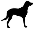 BB26 - Bespoke dog 1 chalkboard sticker, beautiful blackboard vinyl cut sticker, self adhesive easy install