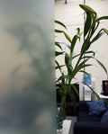 Green Frosted Window Film