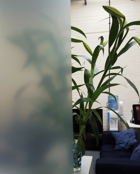 Green Frosted Window Film