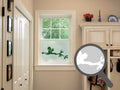 Squirrel Cut Out Bespoke Custom Frosted Window Film