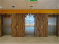 Cover Styl' - F2 Rich Brown Wood Self Adhesive Sticker, Vinyl Window Wall Door Furniture Covering